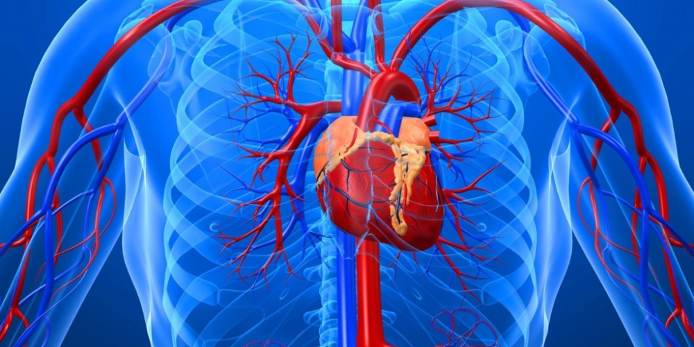 Аневризма грудної аорти (АГА)