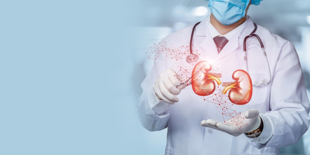 Андролог в Днепре