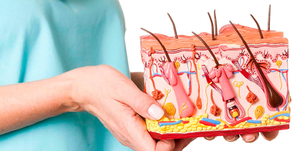 Дерматолог в Днепре