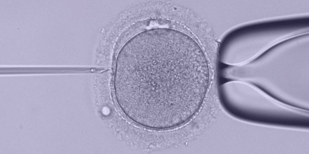 «Про ЭКО я даже слышать не хотела» «Про ЭКО я даже слышать не хотела»