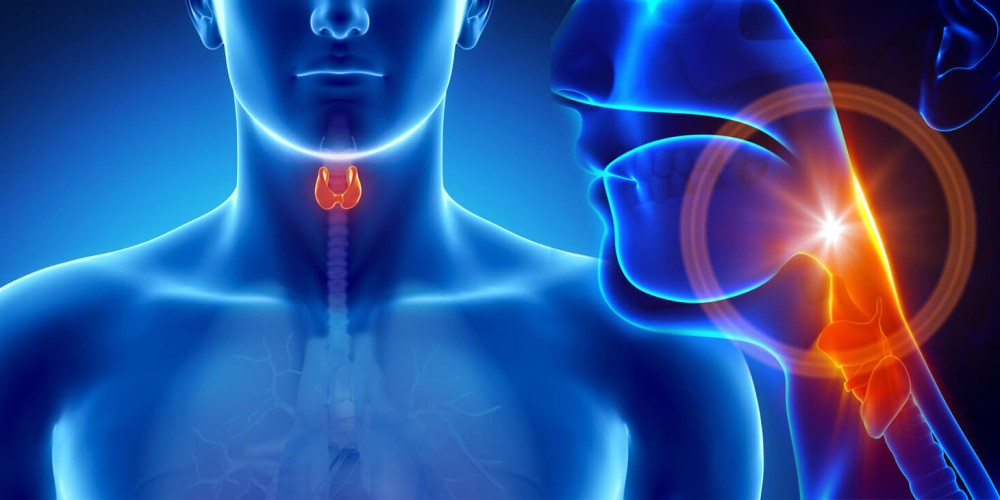 Эндокринология