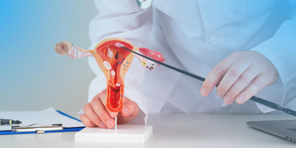 Гинеколог в Днепре