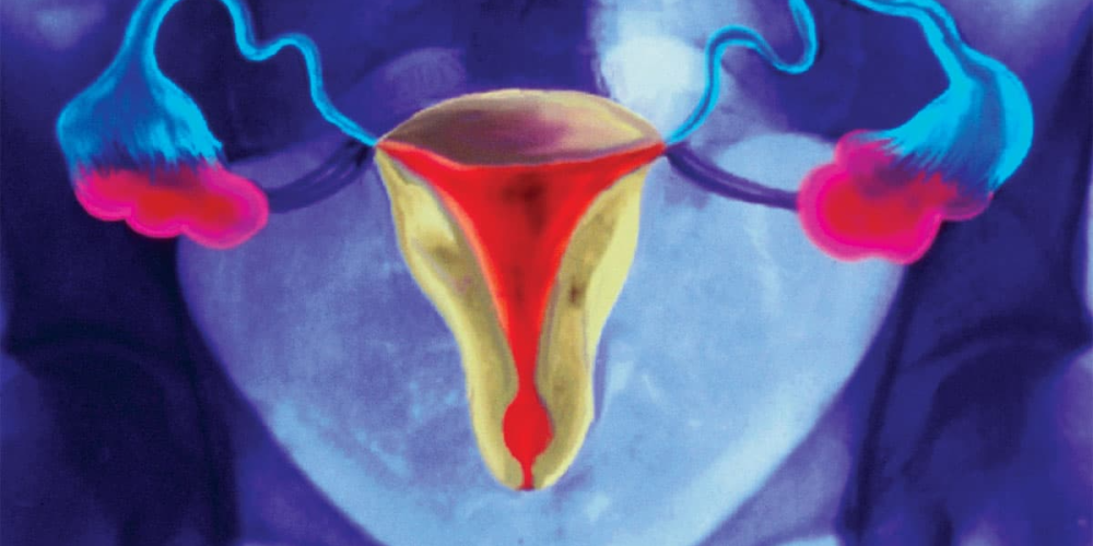 Прохідність маткових труб