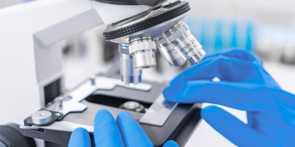 Гистология