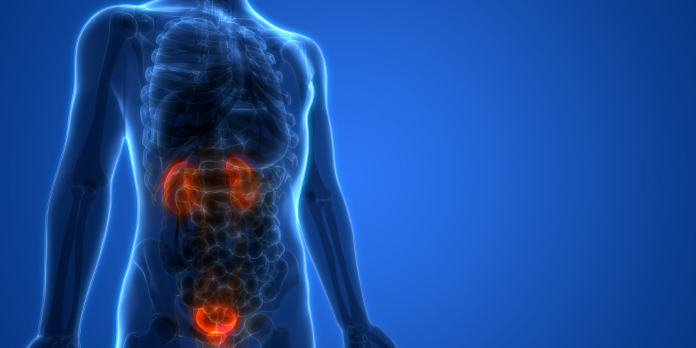 Рак сечового міхура