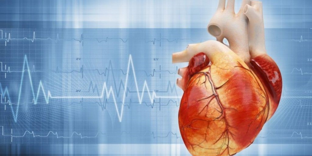 Мерцательная аритмия (фибрилляция предсердия)