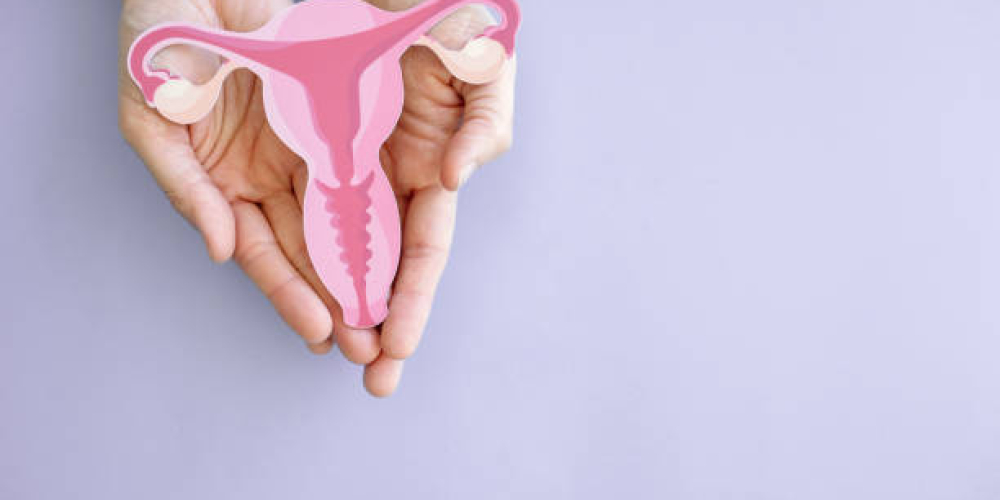 Гінекологія у Дніпрі Гінекологія у Дніпрі