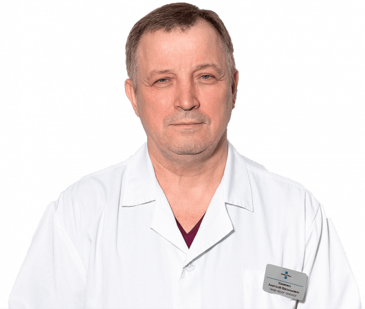 Хоменко Анатолій Васильович Хоменко Анатолій Васильович